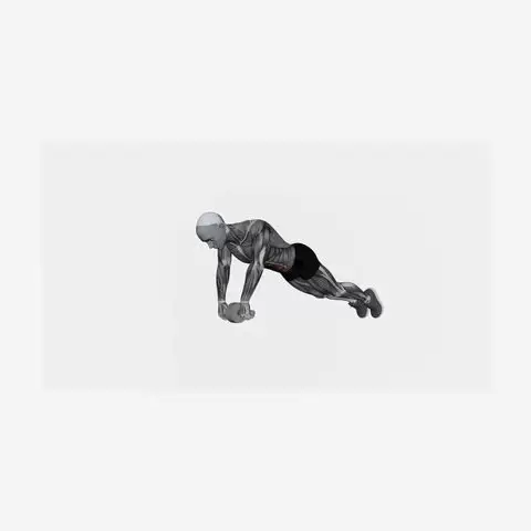 Ab Wheel Plank demonstration