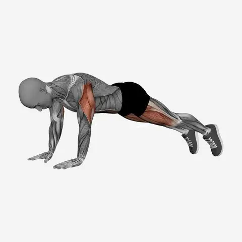 Alternating Plank Lunge demonstration