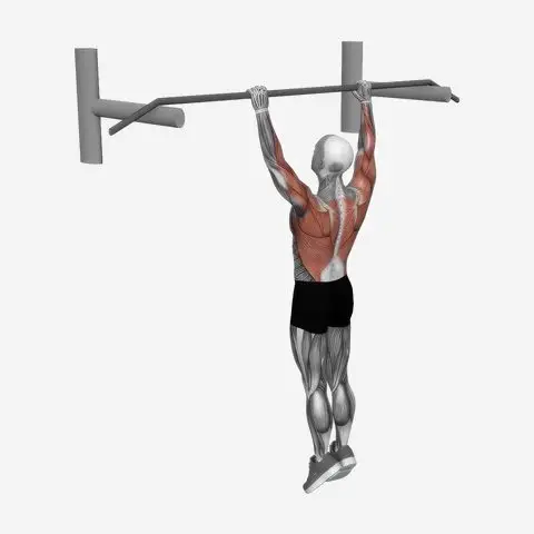 Archer Pull Up demonstration