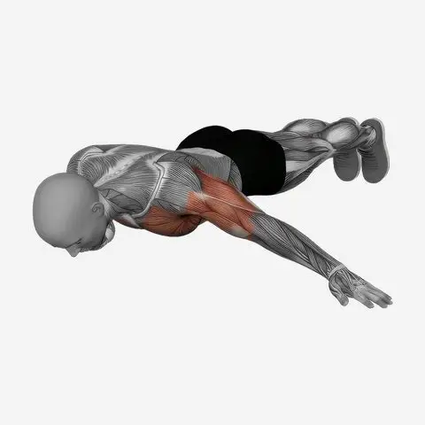 Archer Push Up demonstration