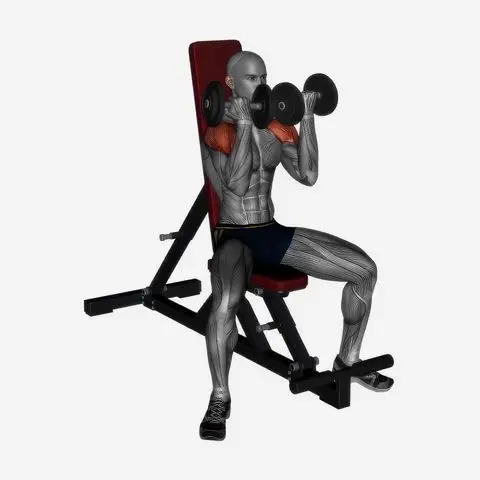 Arnold Press Dumbbell demonstration