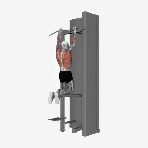 Assisted Pull Up illustration