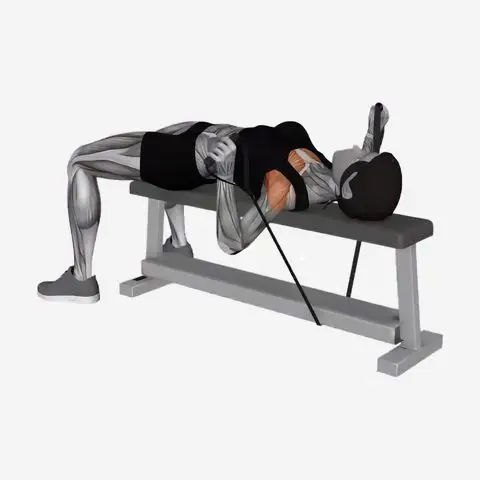 Band Bench Press illustration