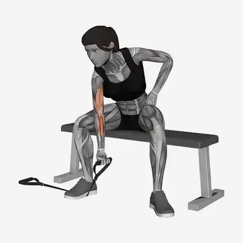 Band Concentration Curl illustration