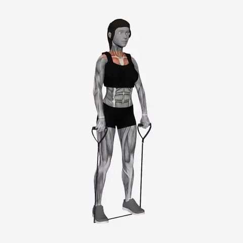 Band Front Raise illustration