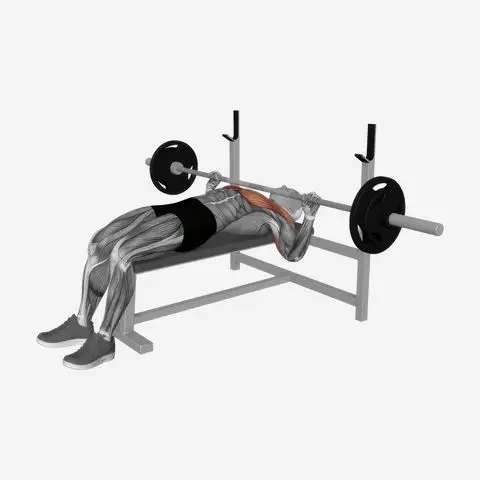 Barbell bench press