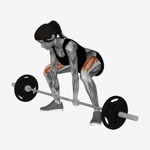 Barbell Coan Deadlift illustration