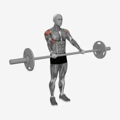 Barbell Front Raise illustration