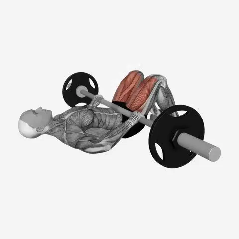 Barbell Glute Bridge illustration