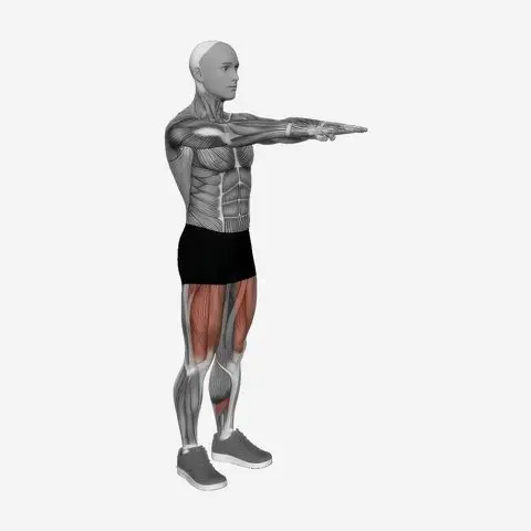 Bodyweight squat