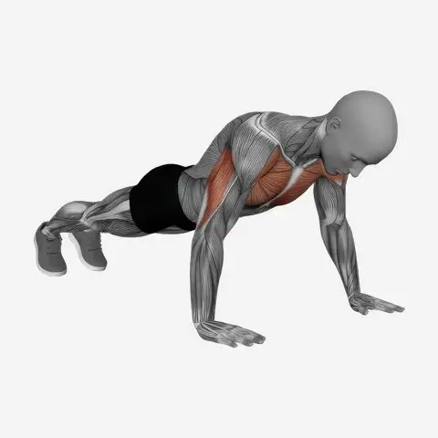 Normal Push-Up demonstration