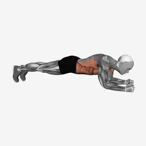 Plank on Elbows demonstration